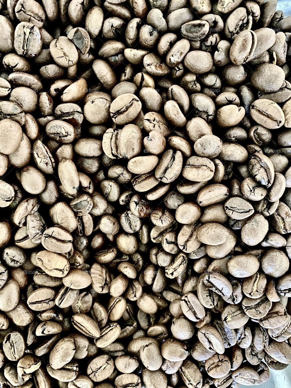 Coffè Beans 