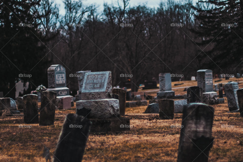 Those unknown dead though 