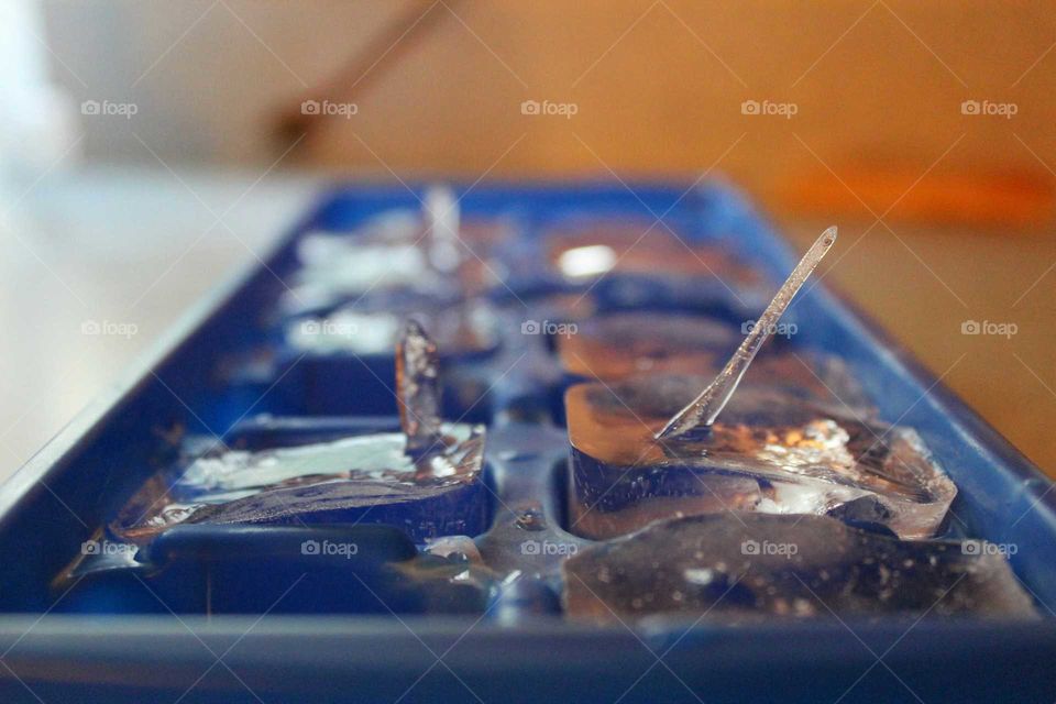 Still Life, No Person, Blur, Food, Indoors