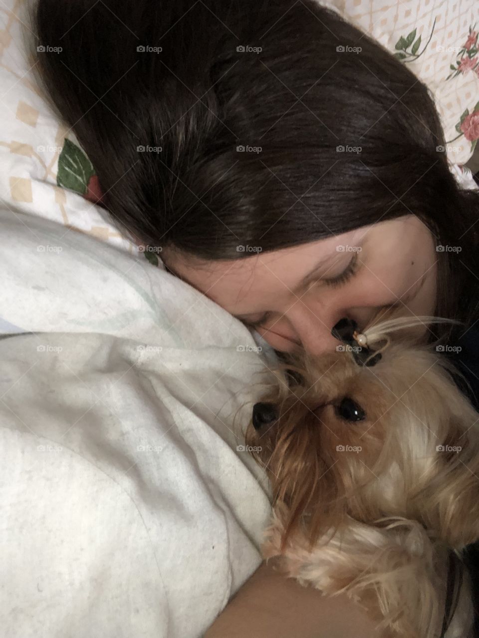 Jovem e cachorro Yorkshire na cama