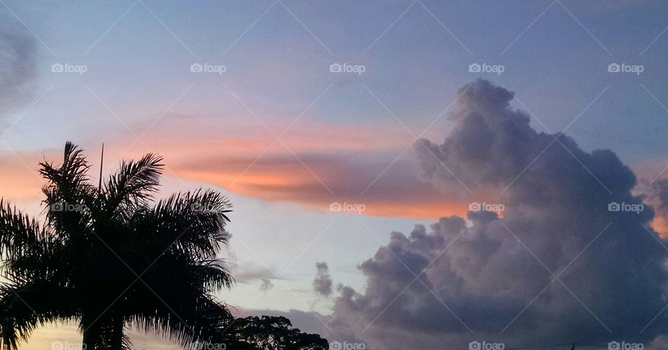 Sarasota Sky