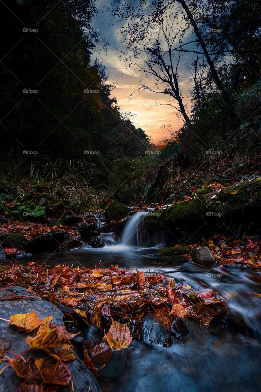 Beautiful water fall and river natural landscape