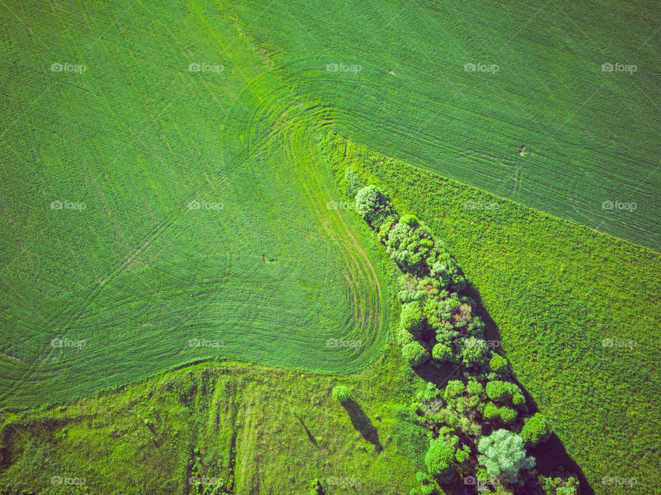 Green field from drone point of view