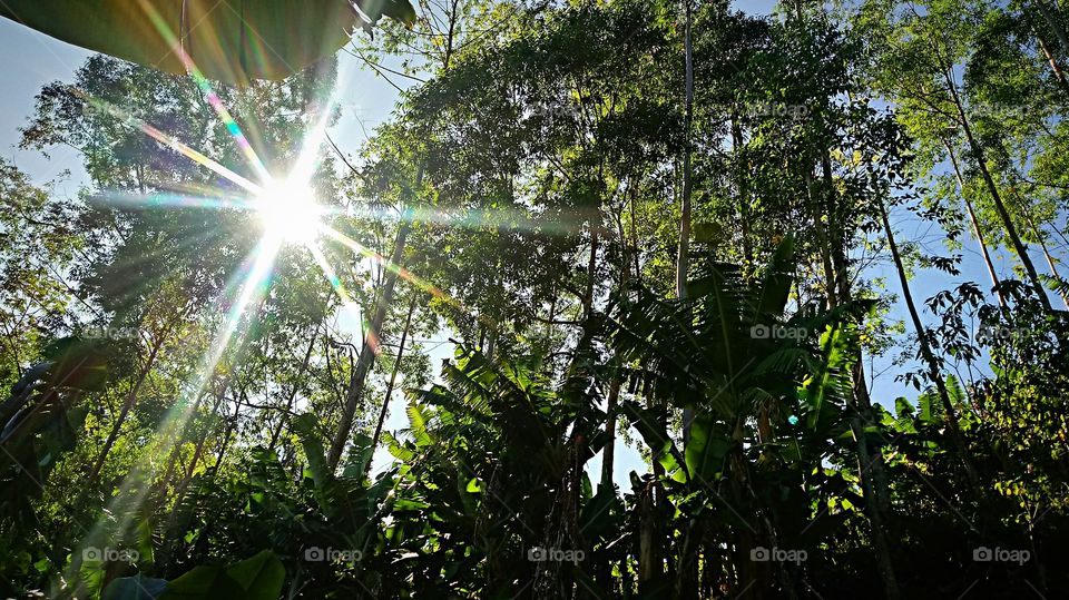 LINDO RAIO DE 🌞 SOL