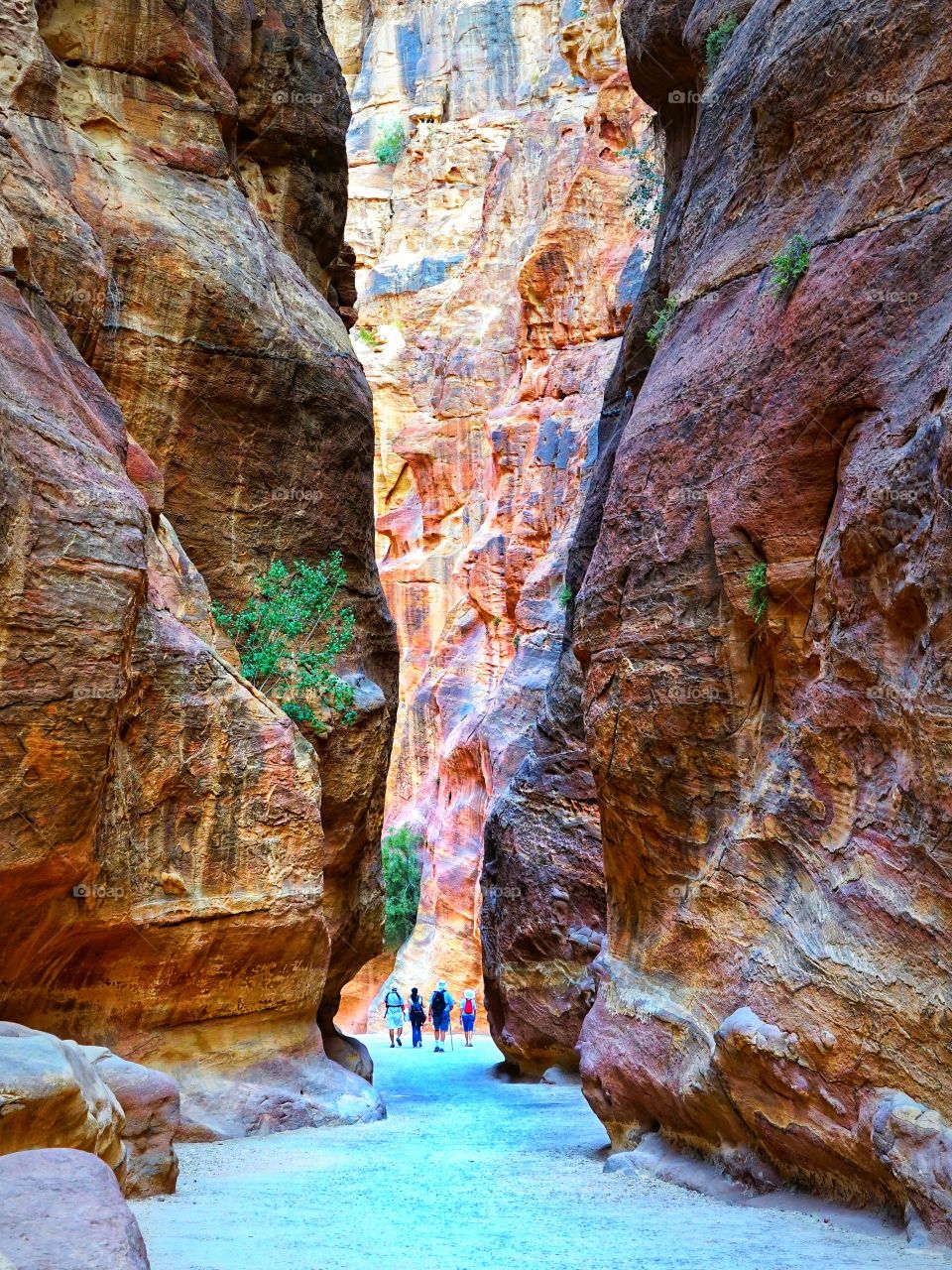 tourists walk in the alley of Petra in Jordan