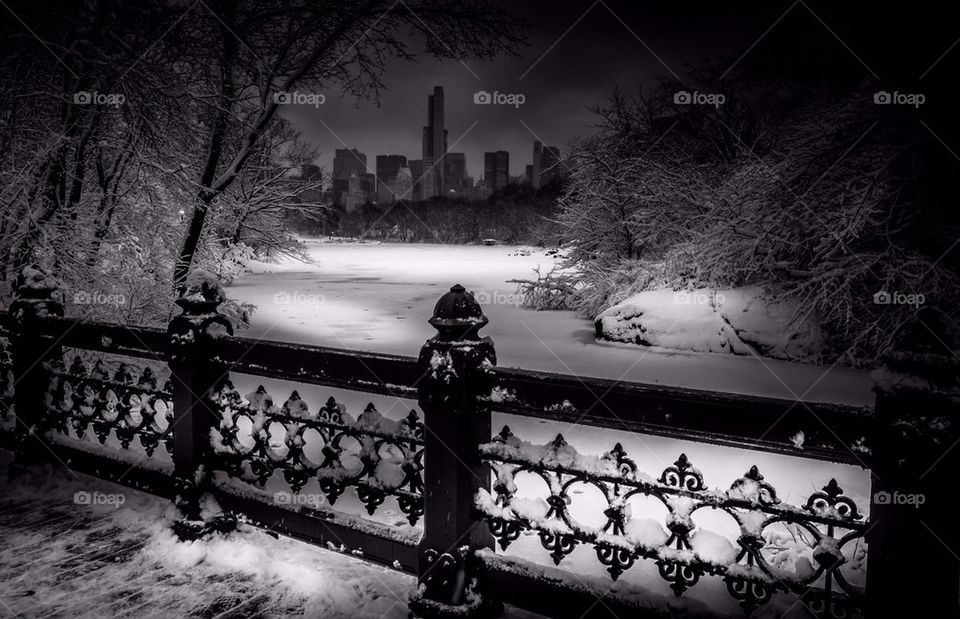 Central Park in the snow 