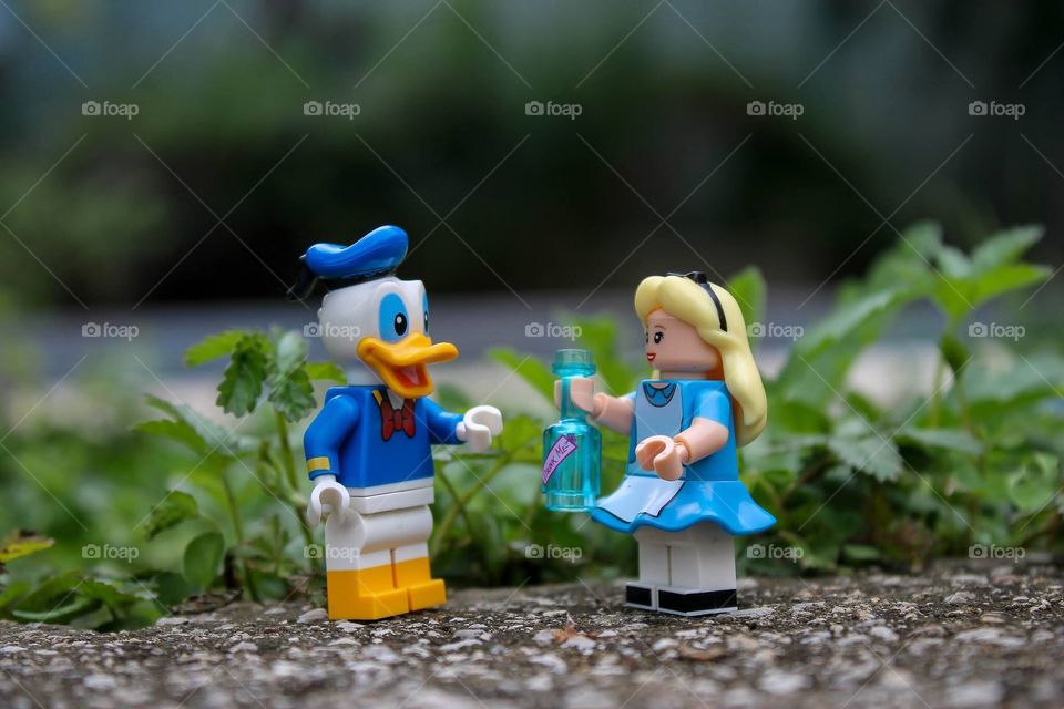 Donald Duck and Alice