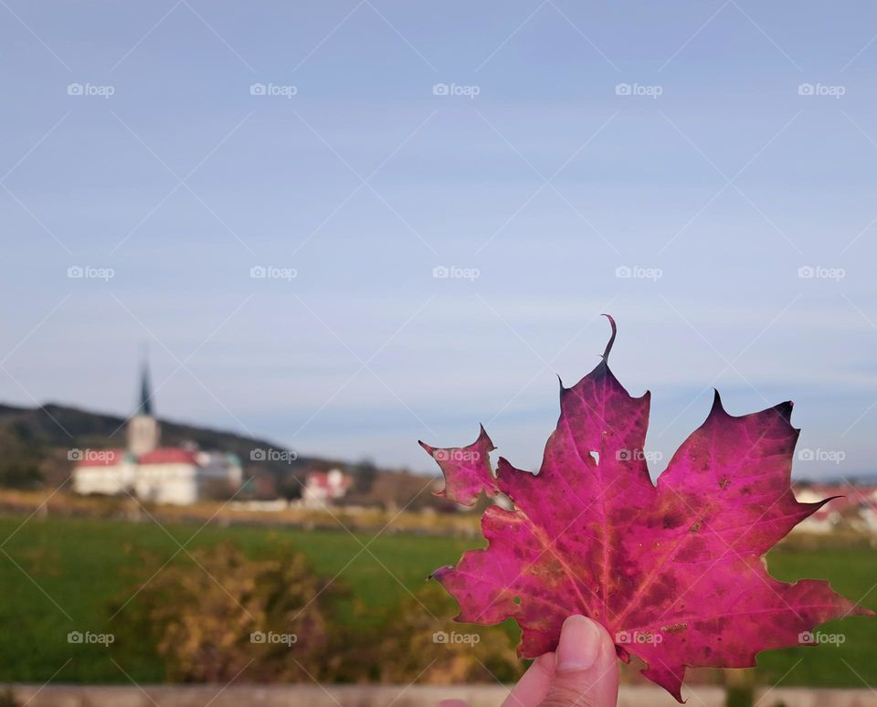 when summer meet fall...