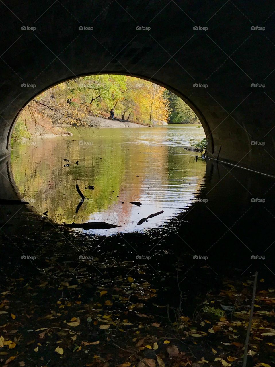 Under the bridge, Central Park