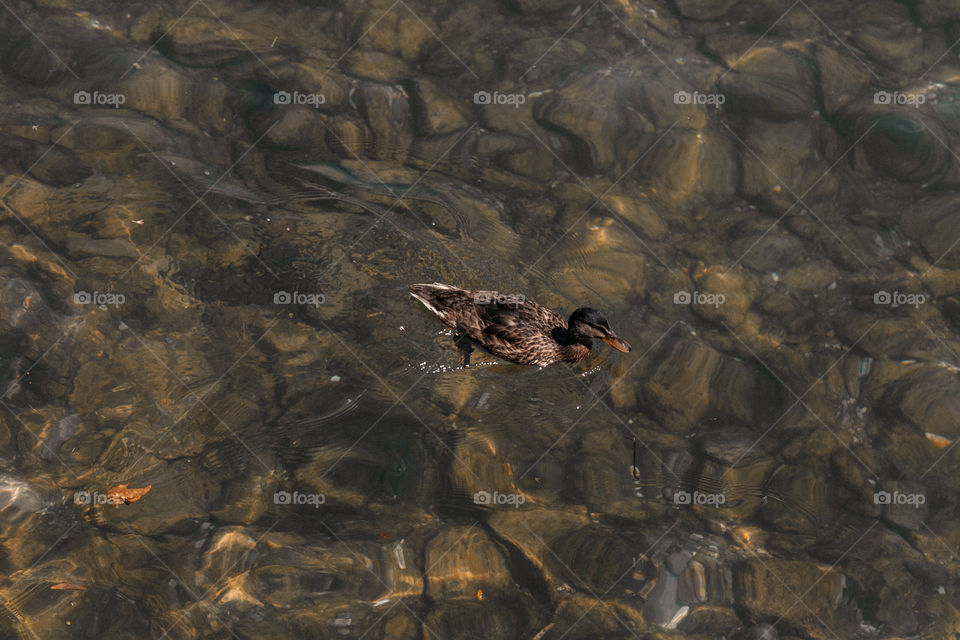 Lago Como no norte da Itália é um lugar lindo para se conhecer na Europa, com paisagens incríveis!