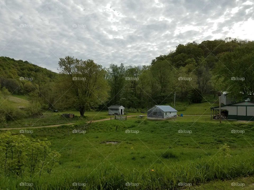 Driving the Back Roads and enjoying everything around us