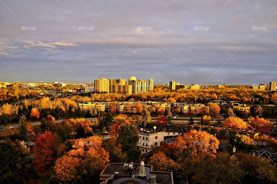 City in the fall at sunset