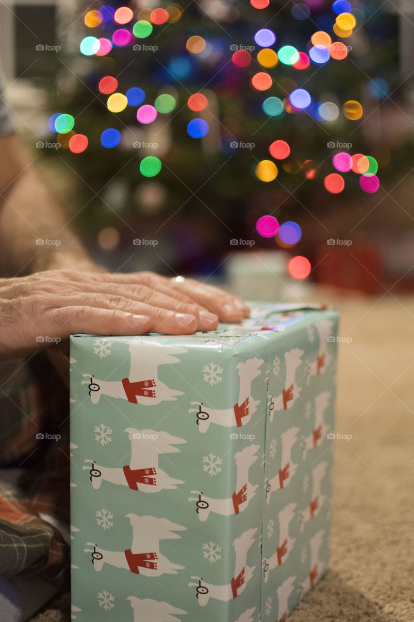 Wrapping Christmas Gifts in front of the Christmas Tree 