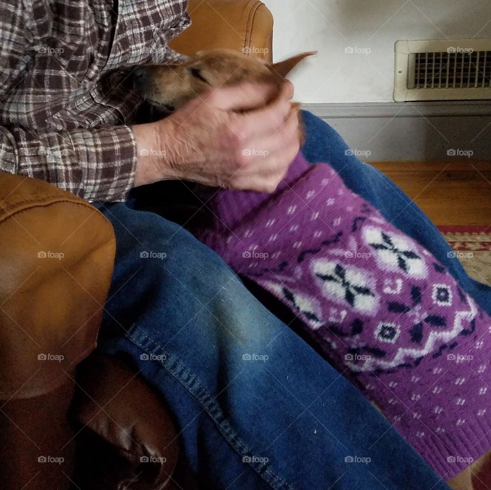 Do It Yourself Crafts For Fall