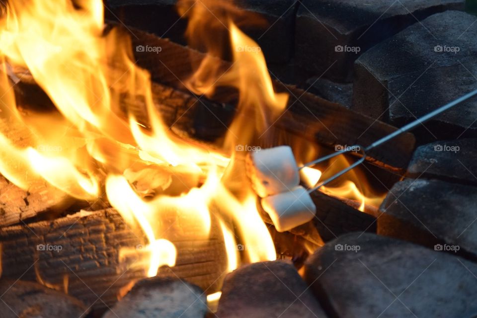 Roasting marshmallows over a fire 
