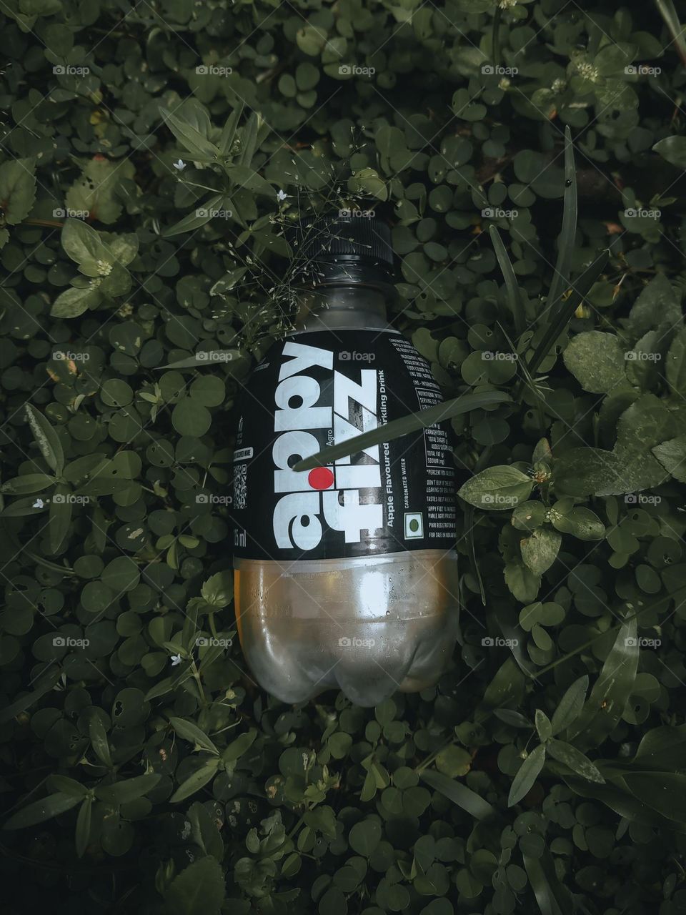 appy fizz photography