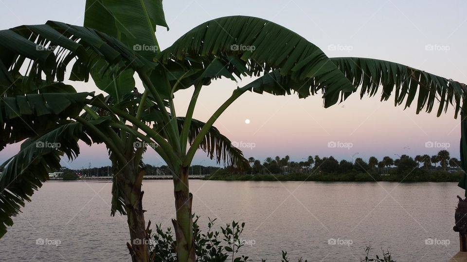 moon in the sunset