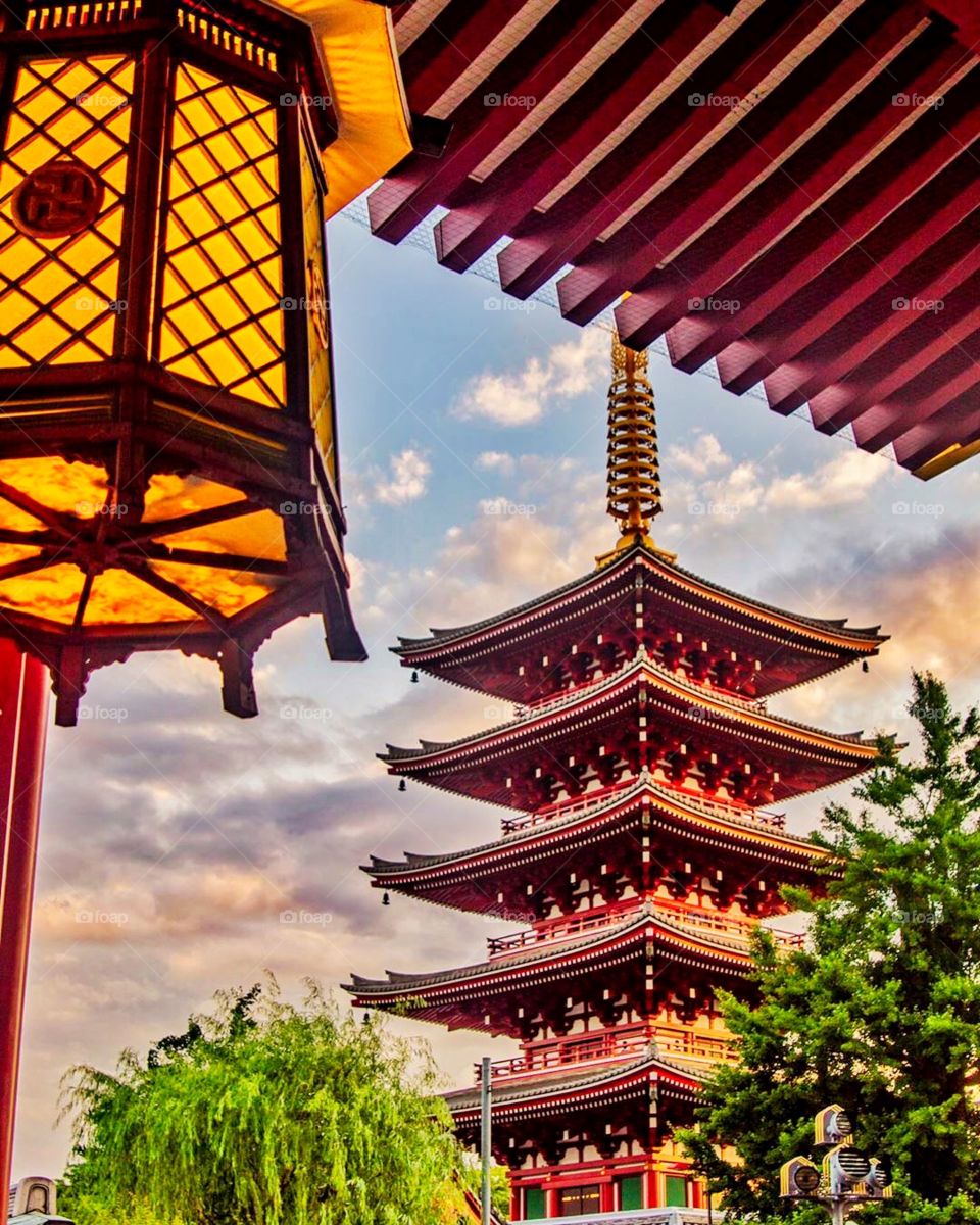 The beautiful Asakusa temple in the golden hours. Tradition and elegance all rolled in one awe-inspiring structure.