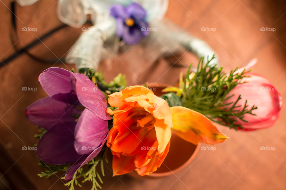 Flower crown in rainbow colors with purple red and orange tulips and blue and purple ribbon and pansy conceptual celebration background 