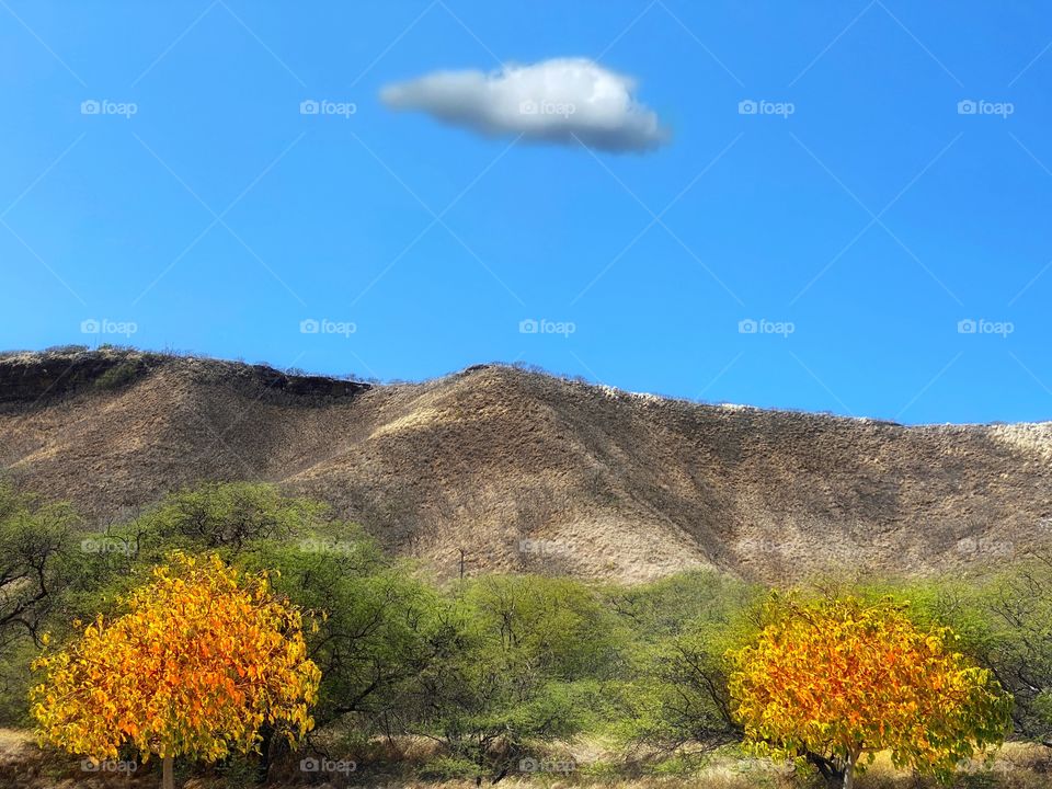 Diamond Head mountain landscape 