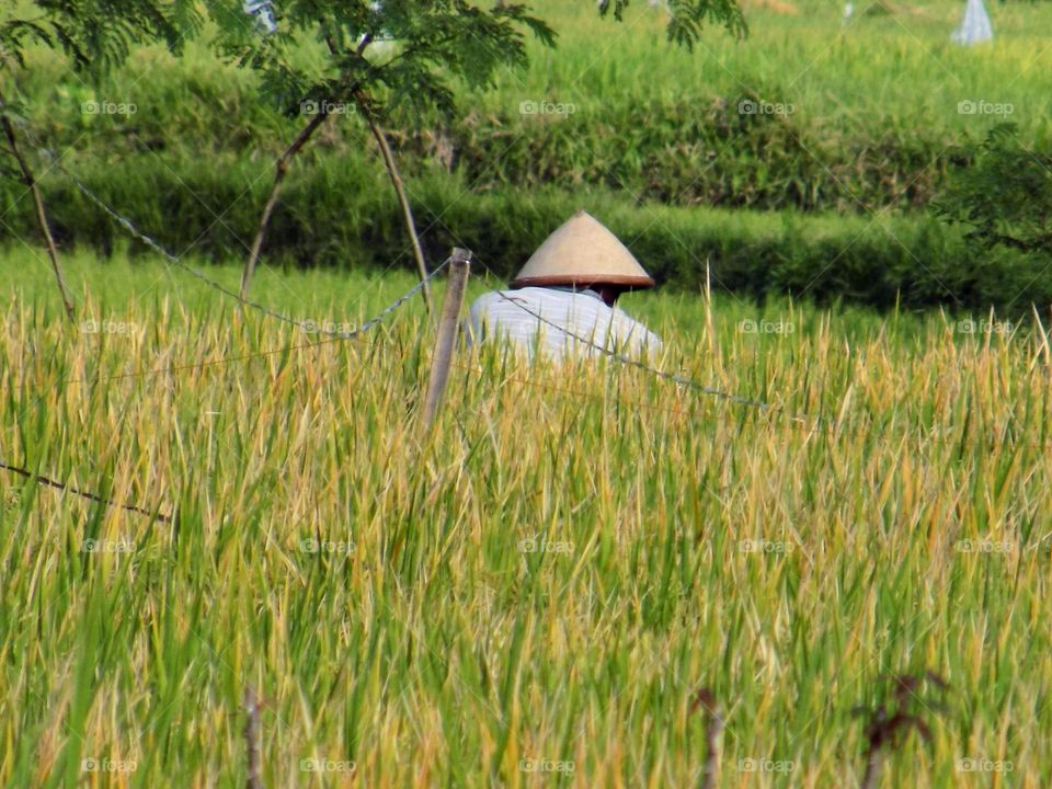 The farmer is in the fields