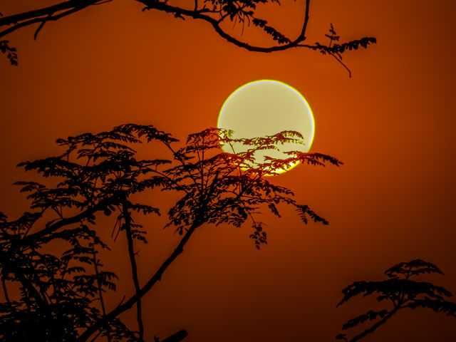 evening