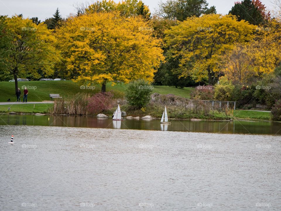 A quiet day in the park in the fall