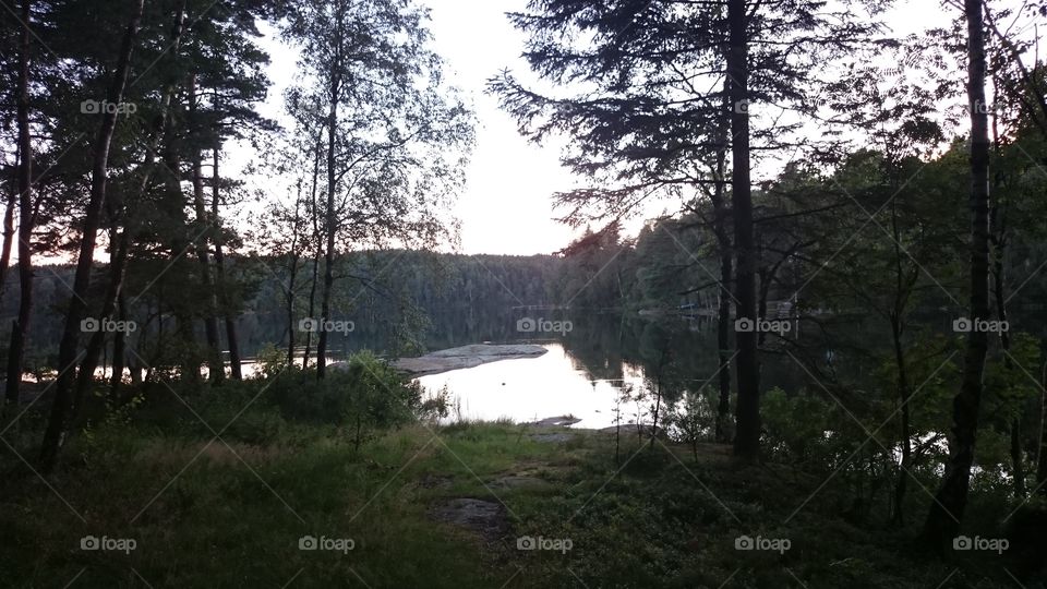 Little lake in a forest in the west of Sweden