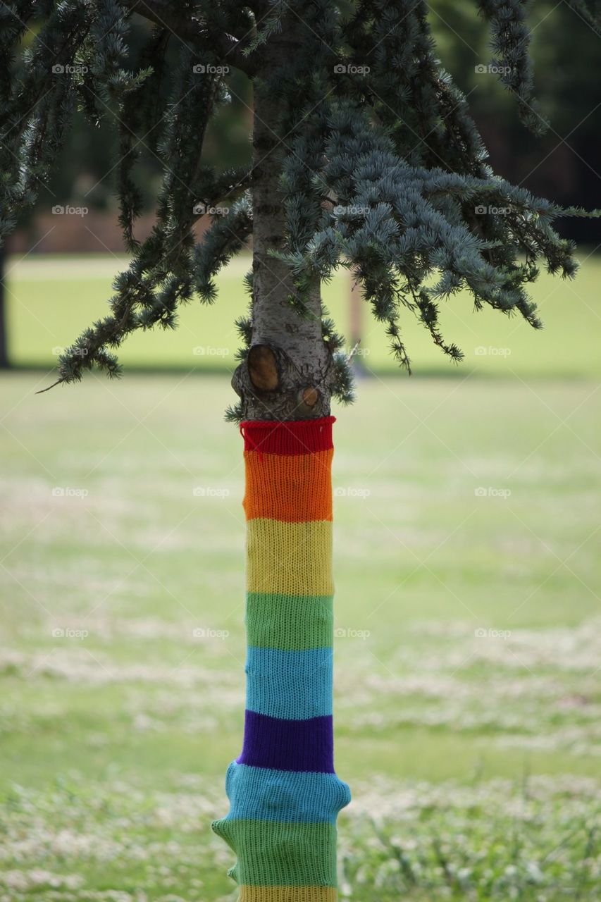 A Knitted  Tree Trunk