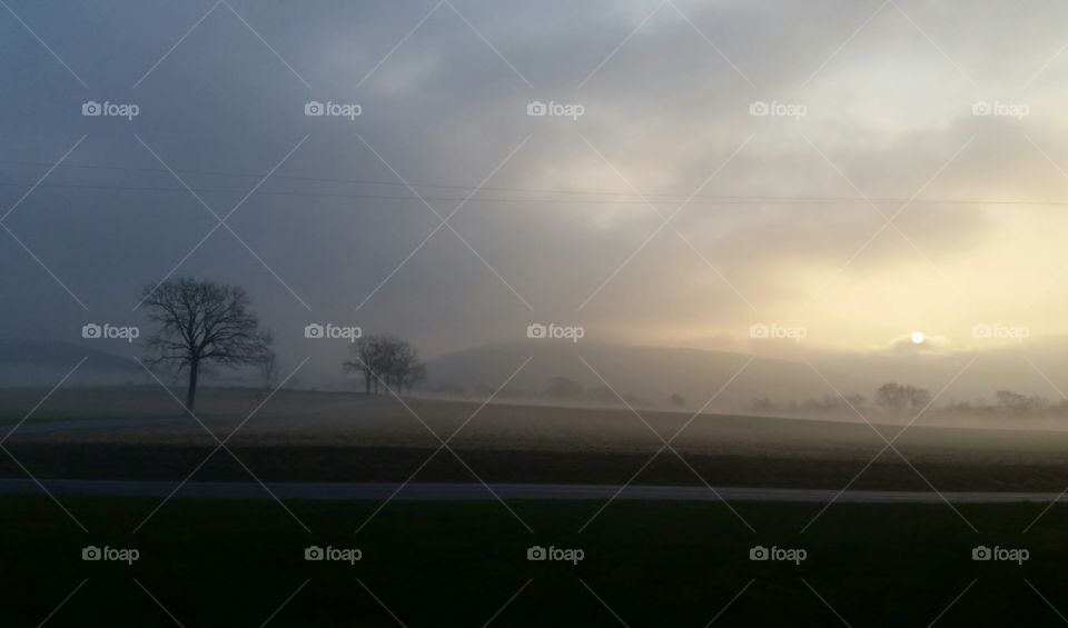 Landscape, Fog, Dawn, Sunset, Tree