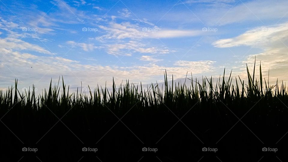 blue sky view