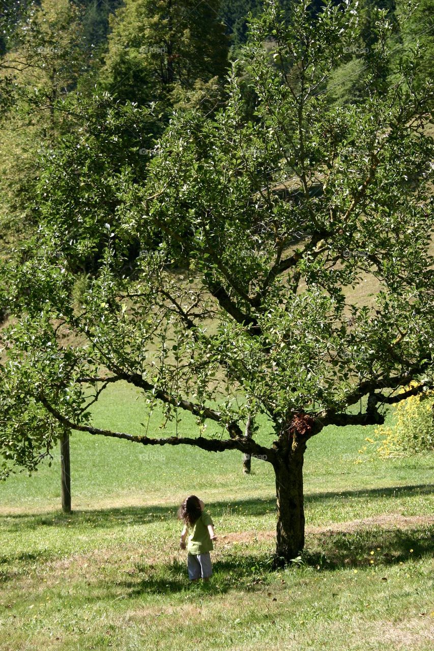 Little kid looking at the tree on countryside 