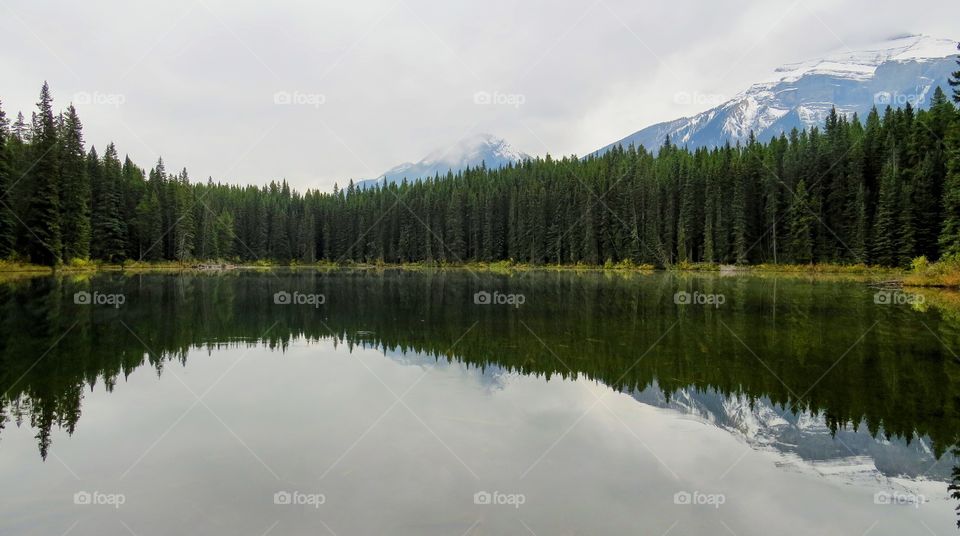 Reflection of green forest and snow covered mountains in still standing water