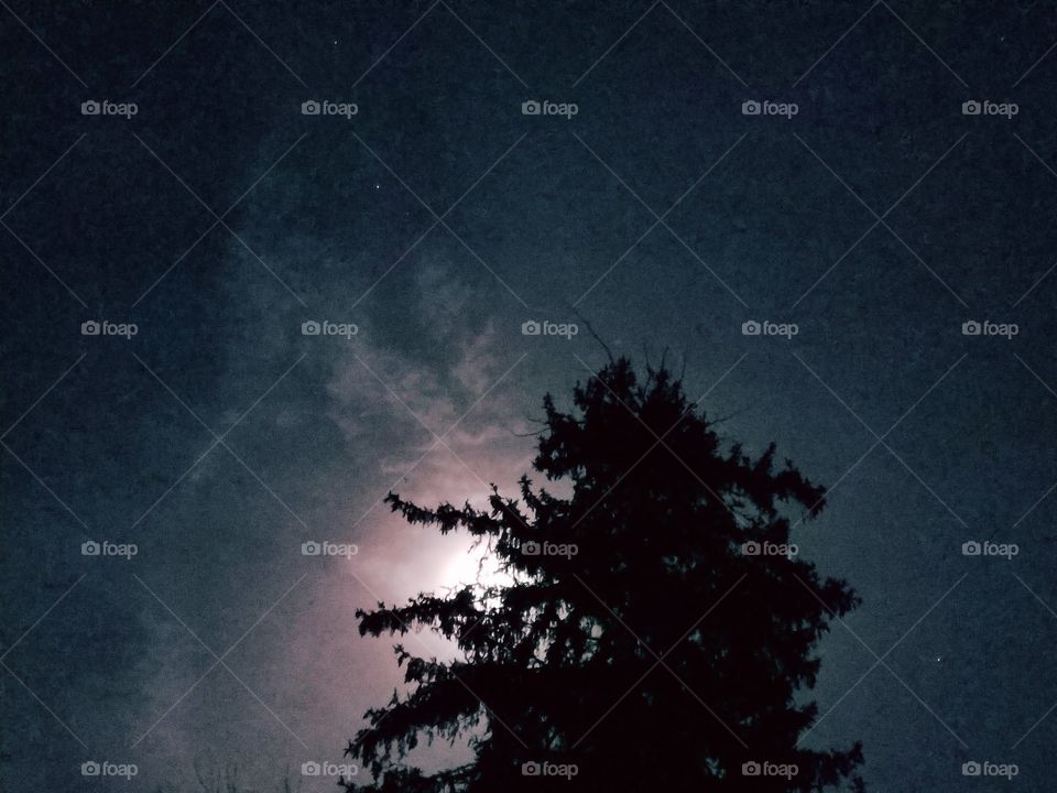 Full Moon in the Sky