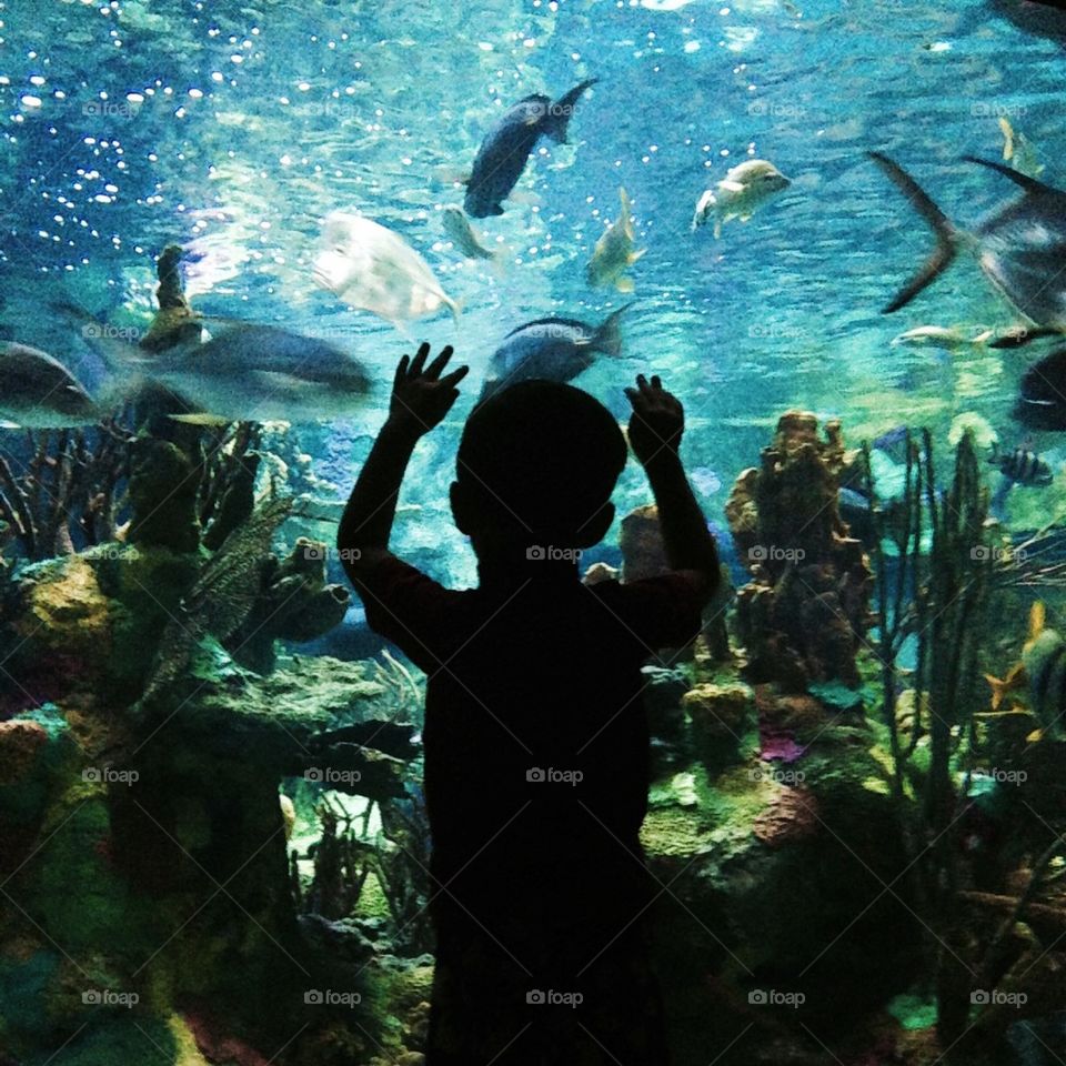 Boy at aquarium