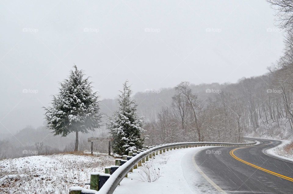 A Country Wonderland