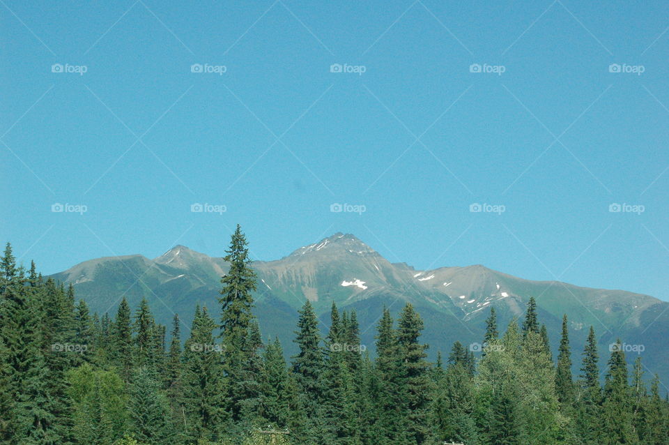 Canadian Mountains And Forest