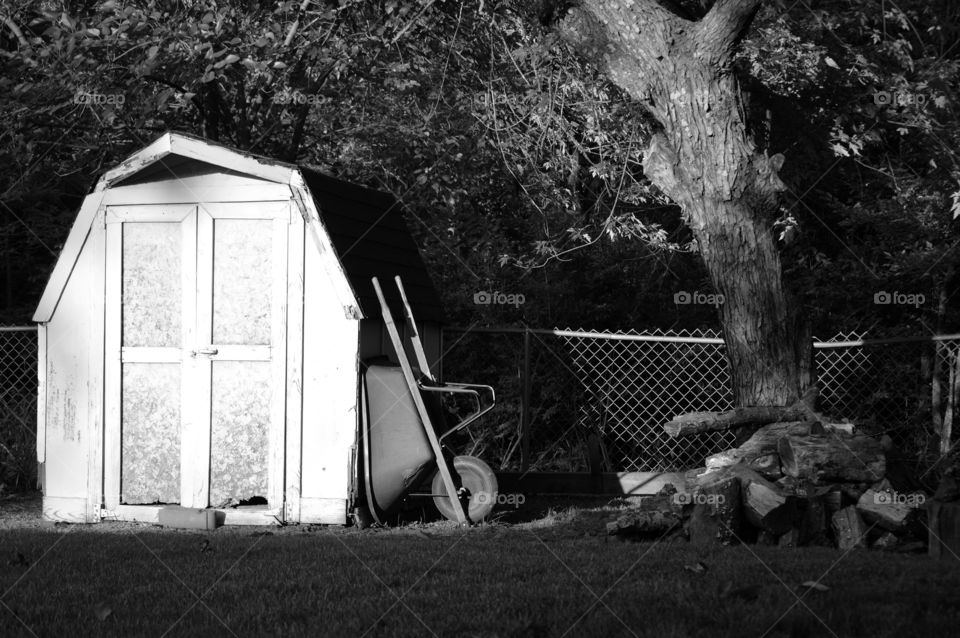 Old shed