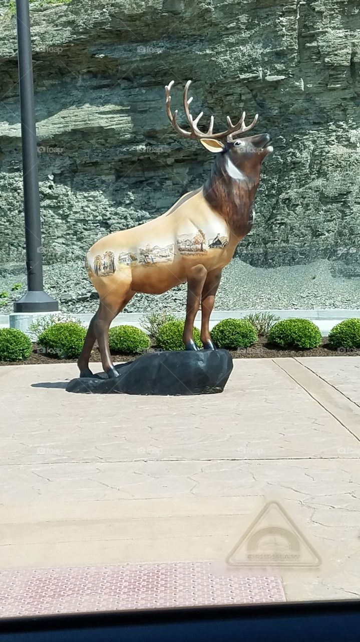 elk statue at local bank