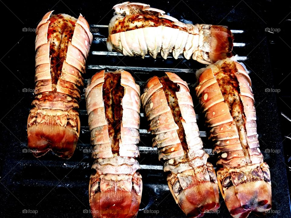 broiled lobster tails. broiled lobster tails