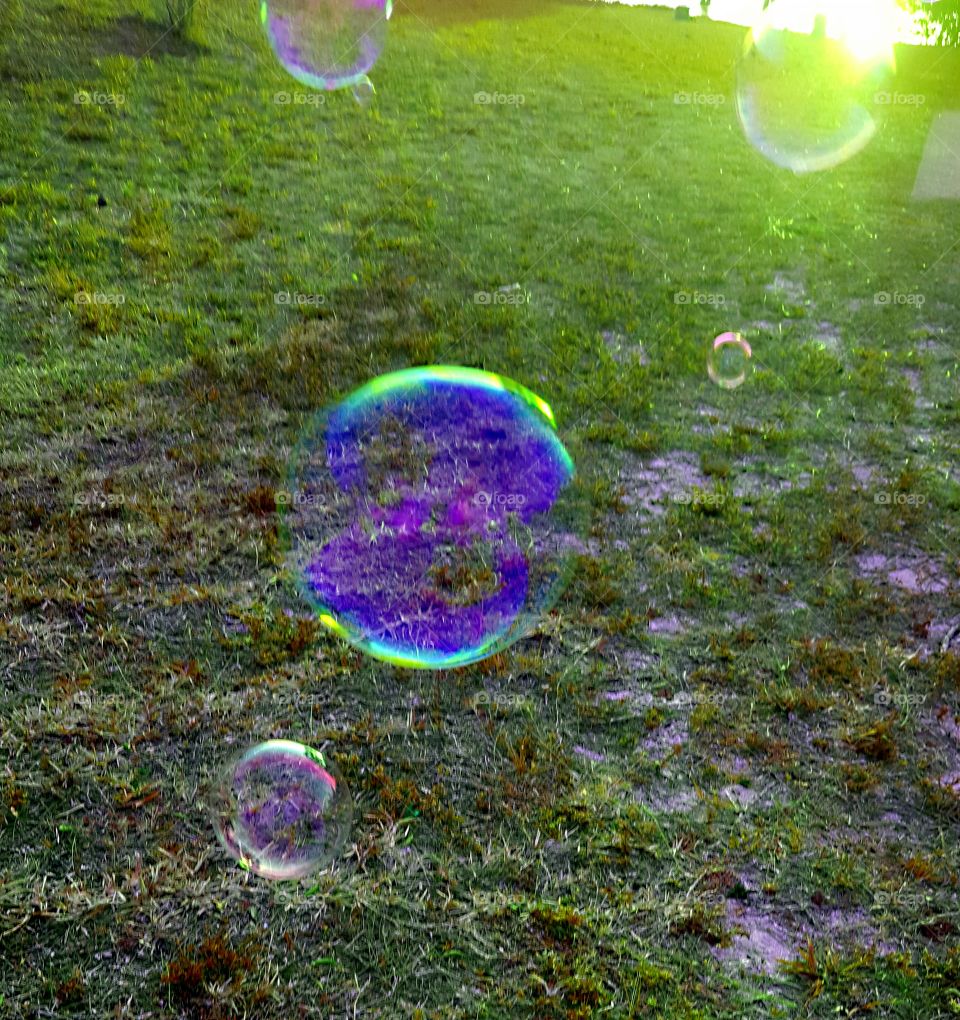 Field of Bubbles