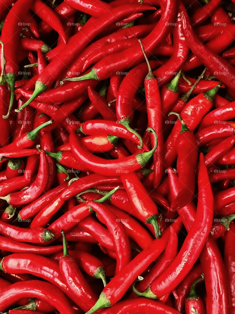 chilli