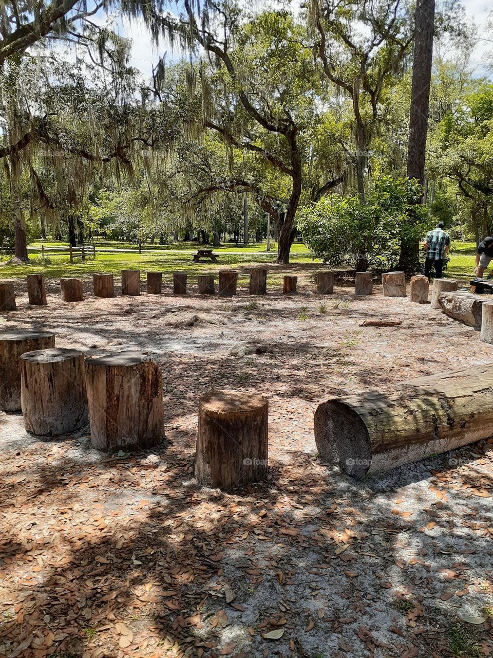 A log stump circle where people can sit and gather is at Mead Botanical Garden in Winter Park, Florida.