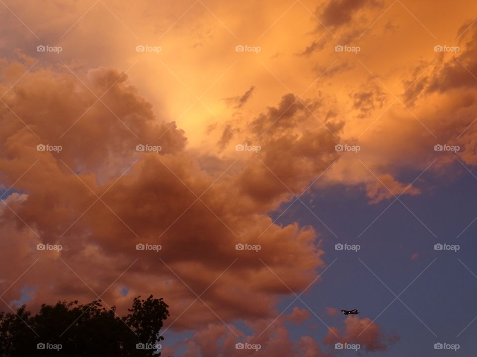 Plane Below the Golden Clouds
