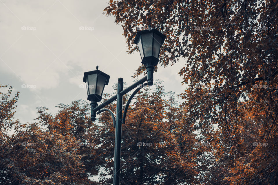 old vintage street lamp at autumn.  dark style