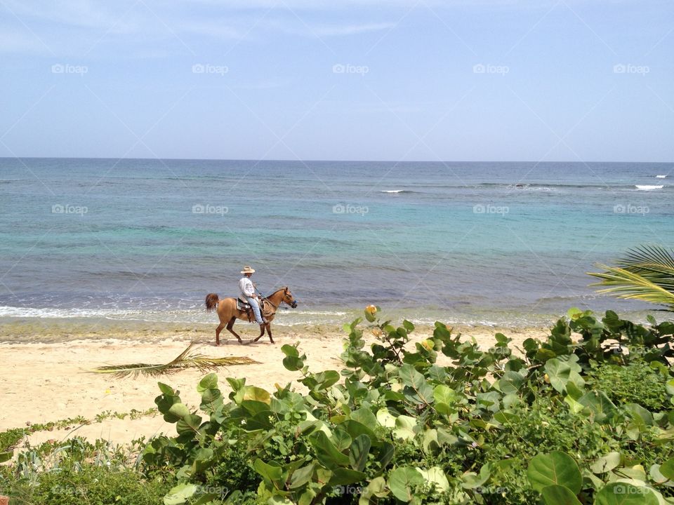 horseback riding . at the beach in Puerto Rico