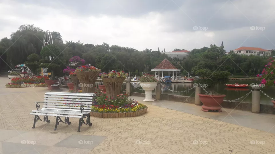 flower garden