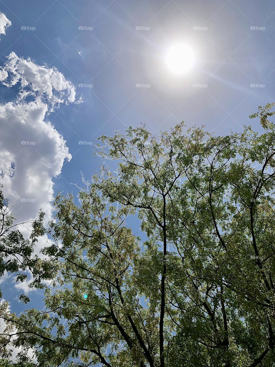 Upload the photo of the month May