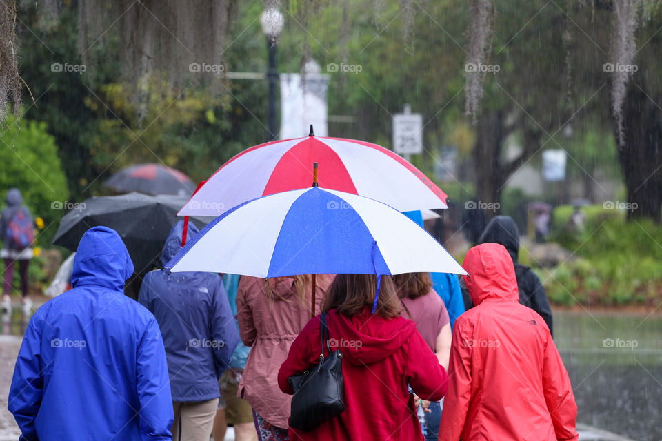 Group of people walking in the rain with their umbrellas in Florida. 