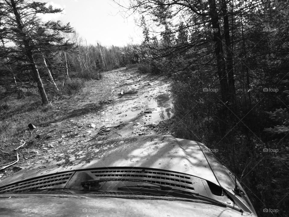 Drummond Island, Michigan 